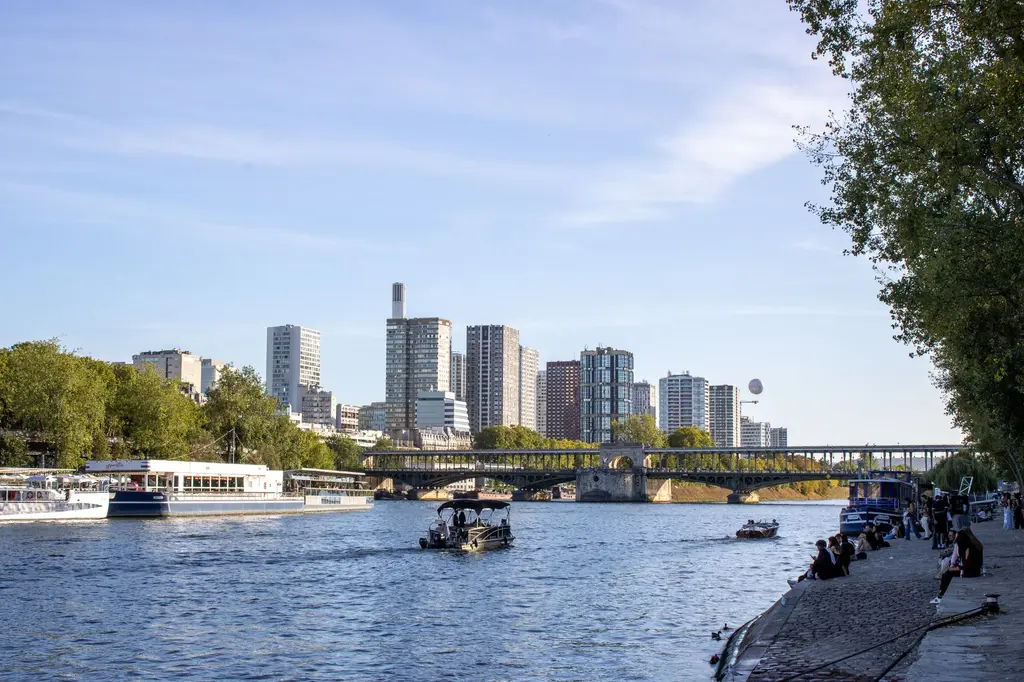 Berges de Seine arborées avec des tours au loin